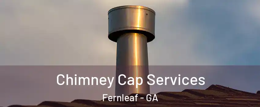 Chimney Cap Services Fernleaf - GA
