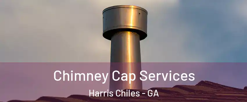 Chimney Cap Services Harris Chiles - GA