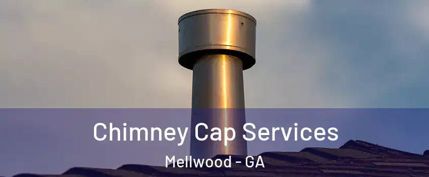 Chimney Cap Services Mellwood - GA
