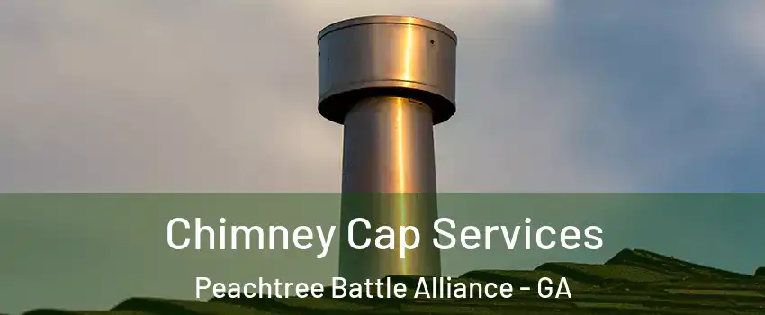 Chimney Cap Services Peachtree Battle Alliance - GA