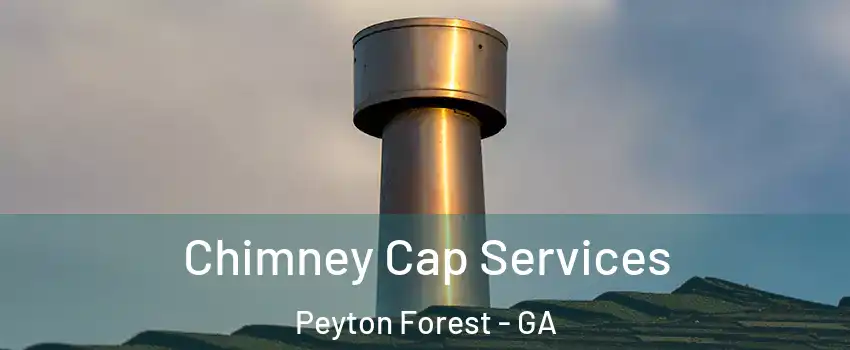 Chimney Cap Services Peyton Forest - GA
