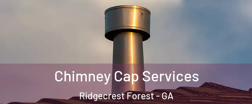 Chimney Cap Services Ridgecrest Forest - GA