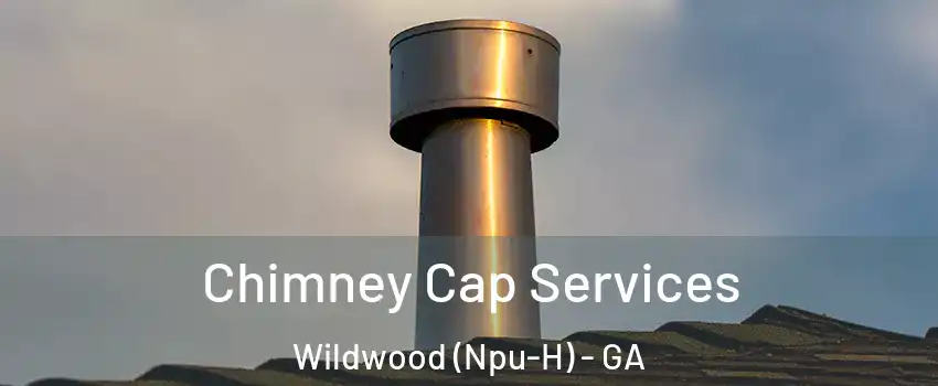 Chimney Cap Services Wildwood (Npu-H) - GA