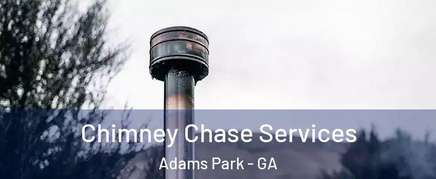 Chimney Chase Services Adams Park - GA