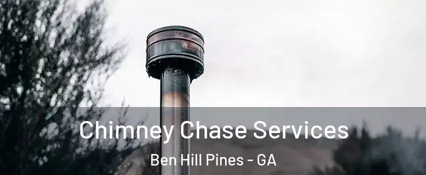 Chimney Chase Services Ben Hill Pines - GA