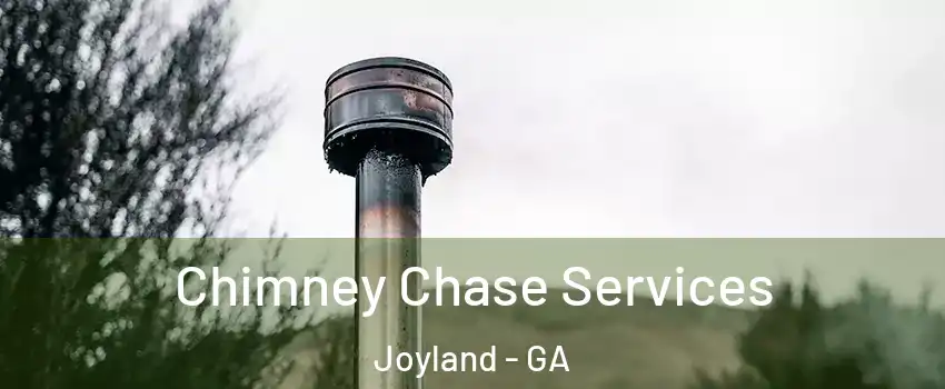 Chimney Chase Services Joyland - GA