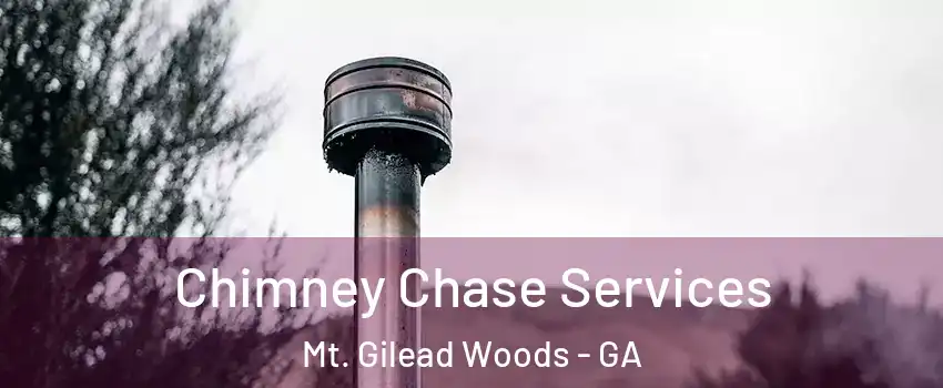 Chimney Chase Services Mt. Gilead Woods - GA