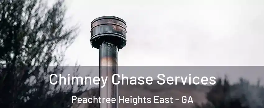 Chimney Chase Services Peachtree Heights East - GA