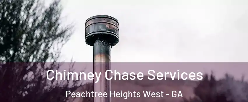 Chimney Chase Services Peachtree Heights West - GA