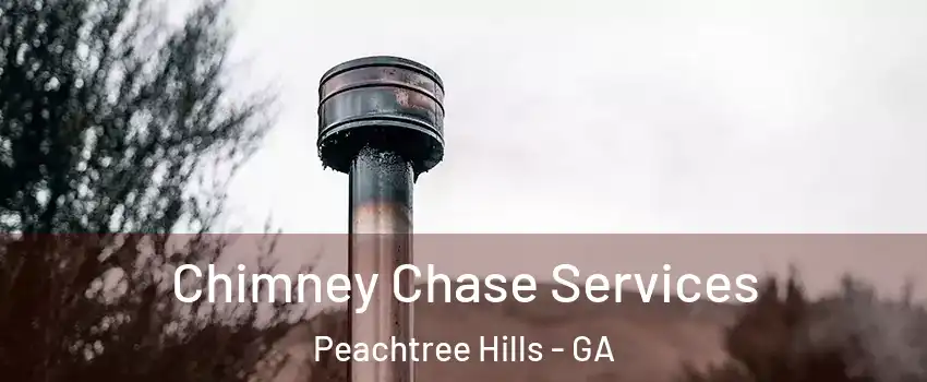 Chimney Chase Services Peachtree Hills - GA