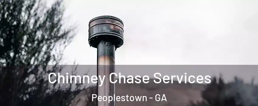 Chimney Chase Services Peoplestown - GA