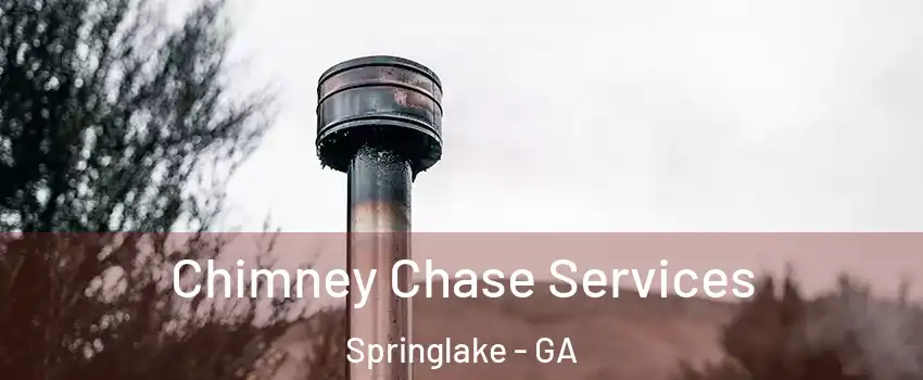 Chimney Chase Services Springlake - GA