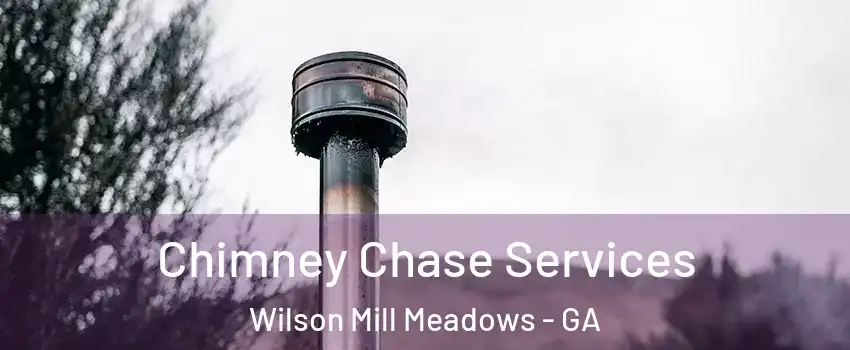 Chimney Chase Services Wilson Mill Meadows - GA