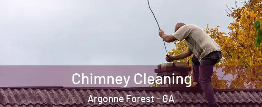 Chimney Cleaning Argonne Forest - GA