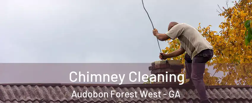Chimney Cleaning Audobon Forest West - GA