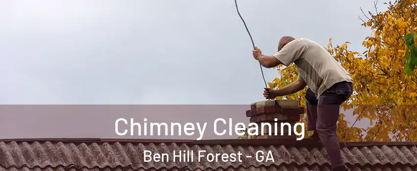 Chimney Cleaning Ben Hill Forest - GA
