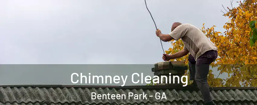 Chimney Cleaning Benteen Park - GA