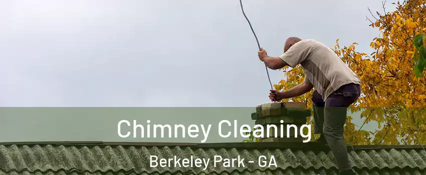 Chimney Cleaning Berkeley Park - GA