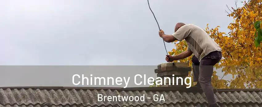 Chimney Cleaning Brentwood - GA