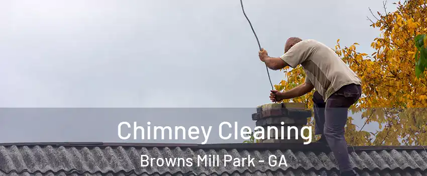 Chimney Cleaning Browns Mill Park - GA
