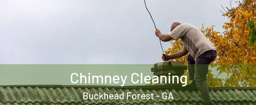 Chimney Cleaning Buckhead Forest - GA