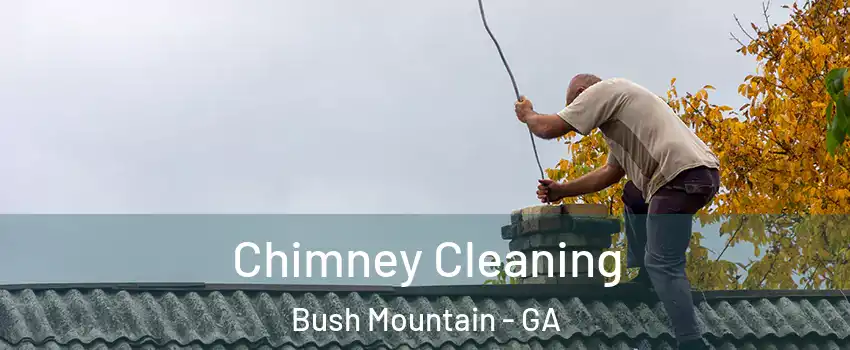 Chimney Cleaning Bush Mountain - GA