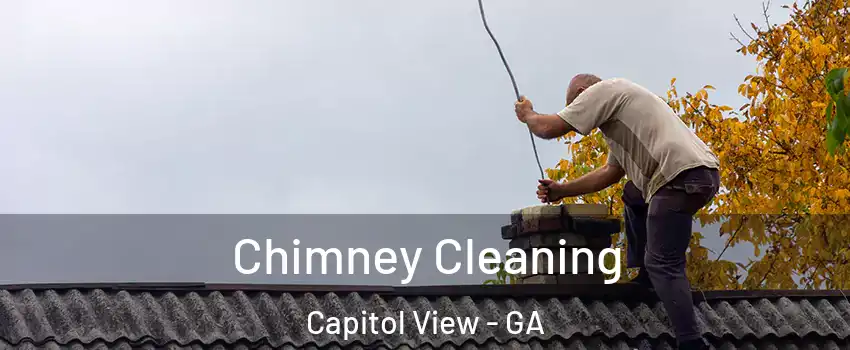 Chimney Cleaning Capitol View - GA