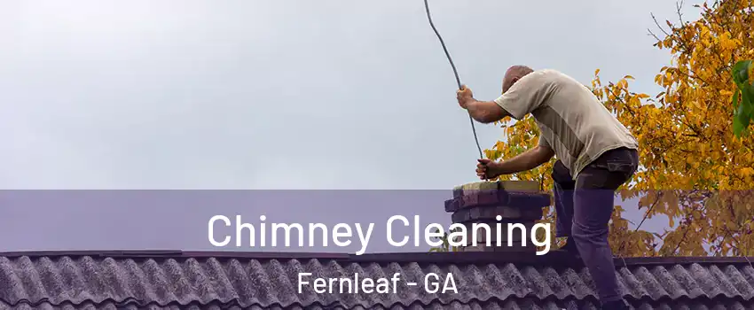 Chimney Cleaning Fernleaf - GA
