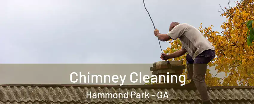 Chimney Cleaning Hammond Park - GA