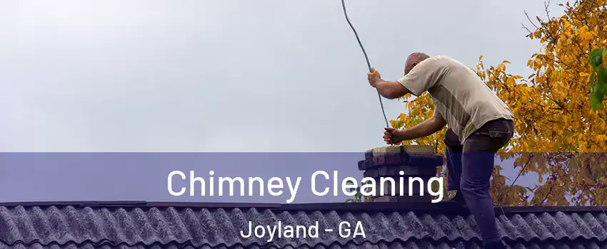 Chimney Cleaning Joyland - GA