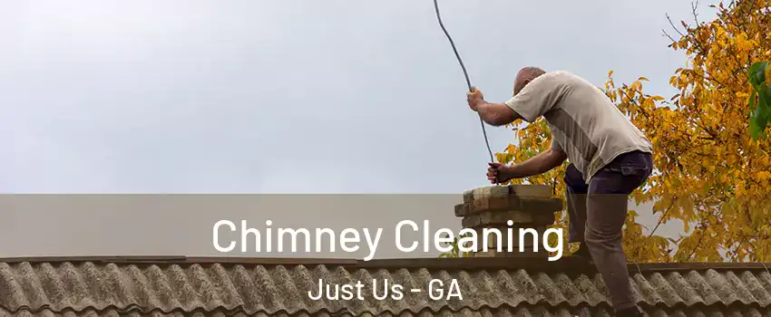 Chimney Cleaning Just Us - GA