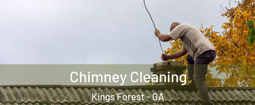 Chimney Cleaning Kings Forest - GA