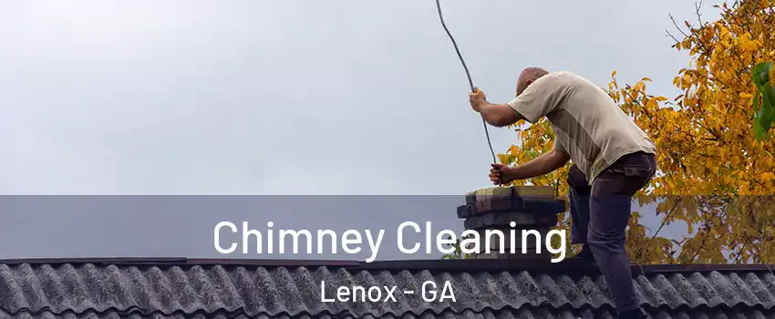 Chimney Cleaning Lenox - GA