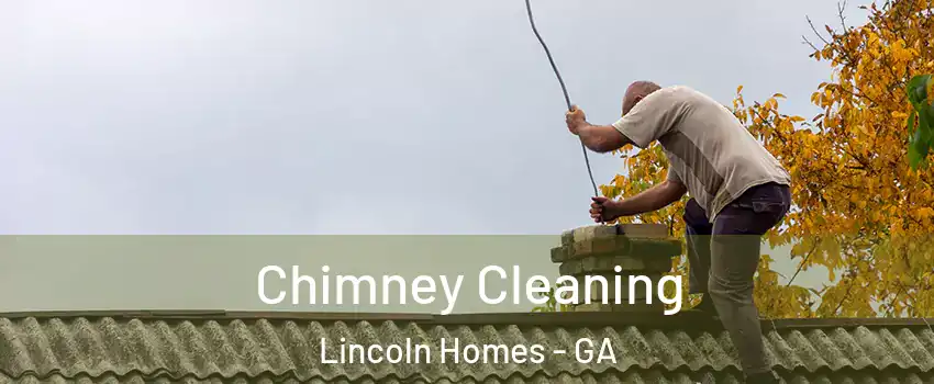 Chimney Cleaning Lincoln Homes - GA