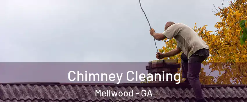 Chimney Cleaning Mellwood - GA