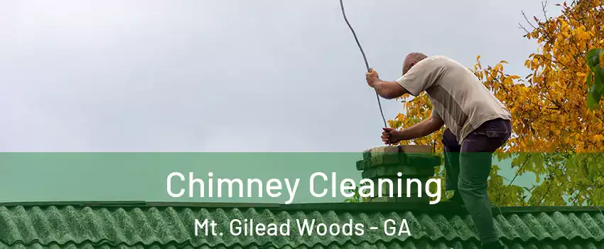 Chimney Cleaning Mt. Gilead Woods - GA