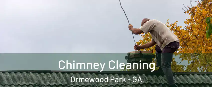 Chimney Cleaning Ormewood Park - GA