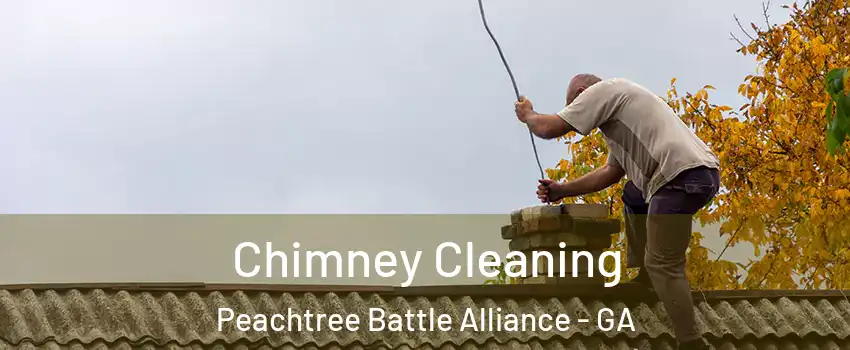 Chimney Cleaning Peachtree Battle Alliance - GA
