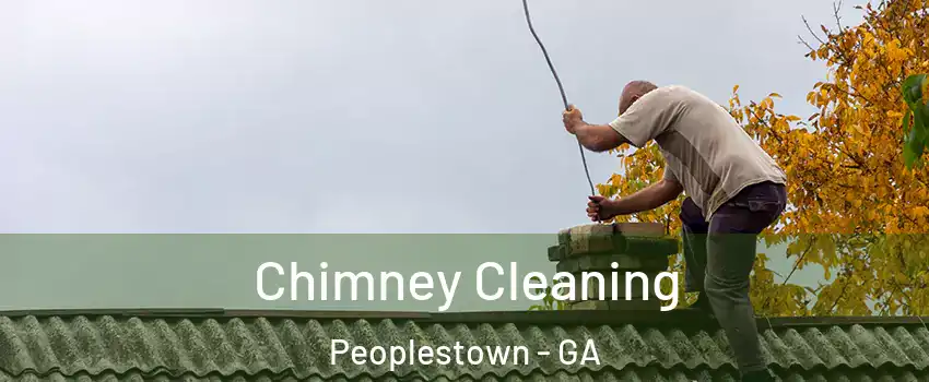 Chimney Cleaning Peoplestown - GA