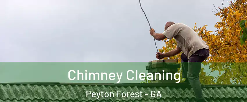 Chimney Cleaning Peyton Forest - GA
