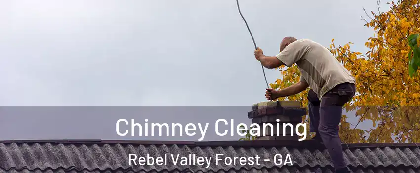 Chimney Cleaning Rebel Valley Forest - GA