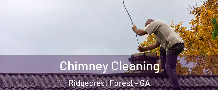 Chimney Cleaning Ridgecrest Forest - GA