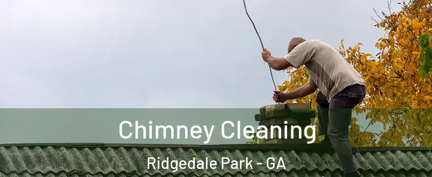 Chimney Cleaning Ridgedale Park - GA
