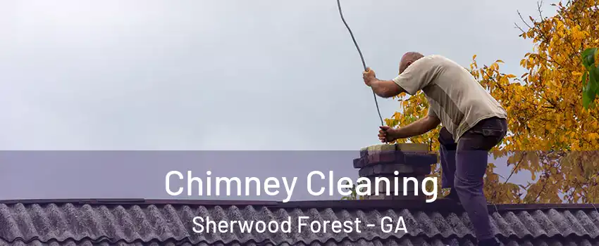 Chimney Cleaning Sherwood Forest - GA