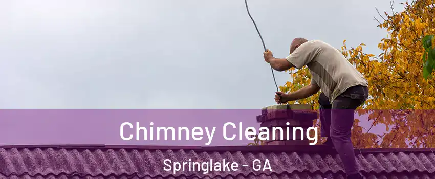 Chimney Cleaning Springlake - GA