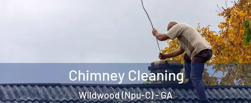 Chimney Cleaning Wildwood (Npu-C) - GA