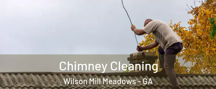 Chimney Cleaning Wilson Mill Meadows - GA