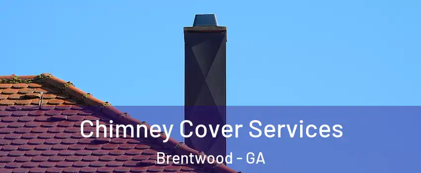 Chimney Cover Services Brentwood - GA