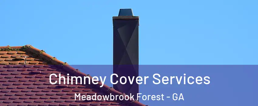 Chimney Cover Services Meadowbrook Forest - GA