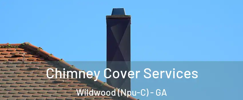 Chimney Cover Services Wildwood (Npu-C) - GA